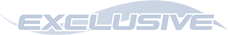 Exclusive Logo