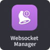 Websocket Manager                                     